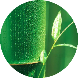 再谈AI写作无法代替的那些事-ai论文写作