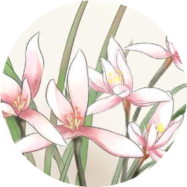 学位论文写作之（10）：注释、引文文献管理-ai论文写作